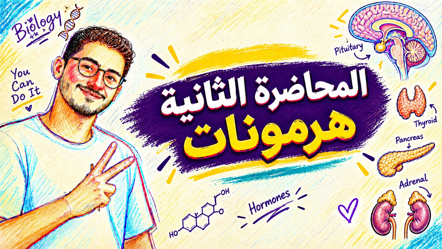 المحاضرة التانية ( هرمونات)