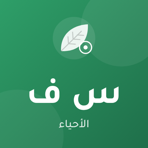 د/ سارة فؤاد