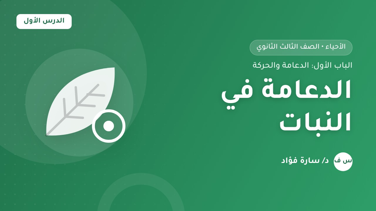 الدعامة في النبات