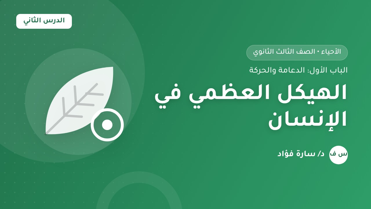 اختبار: الهيكل العظمي في الإنسان