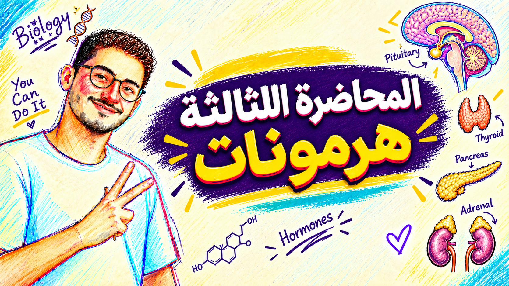 المحاضرة الثالثة هرمونات