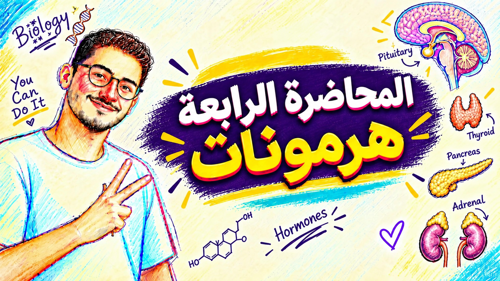 المحاضرة الرابعه هرمونات