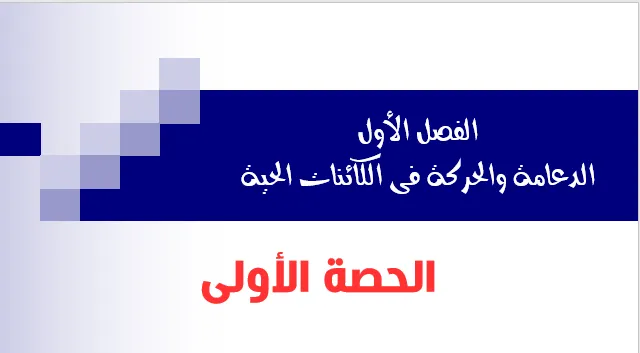 الحصة الاولي حل الواجب + الامتحان + فيديو شرح ملاحظات هامة  (لطلاب السنتر)