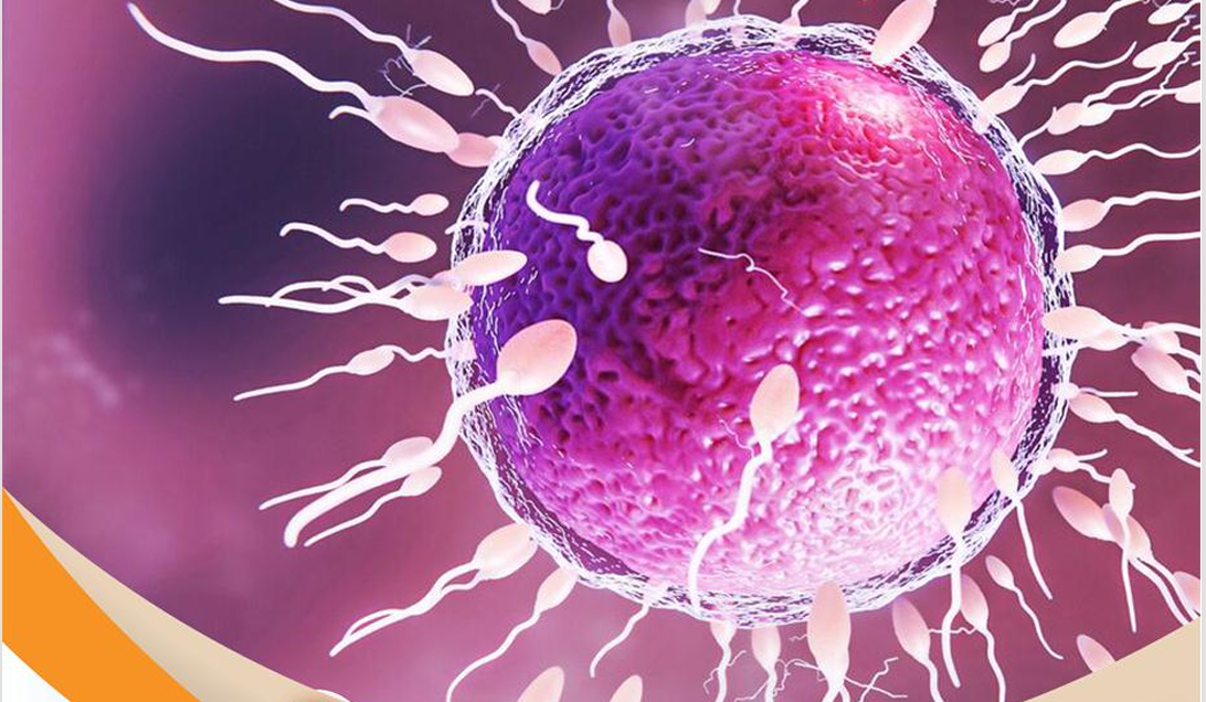 الحصة السادسة الفصل الثالث (التكاثر) الغائبين من السنتر