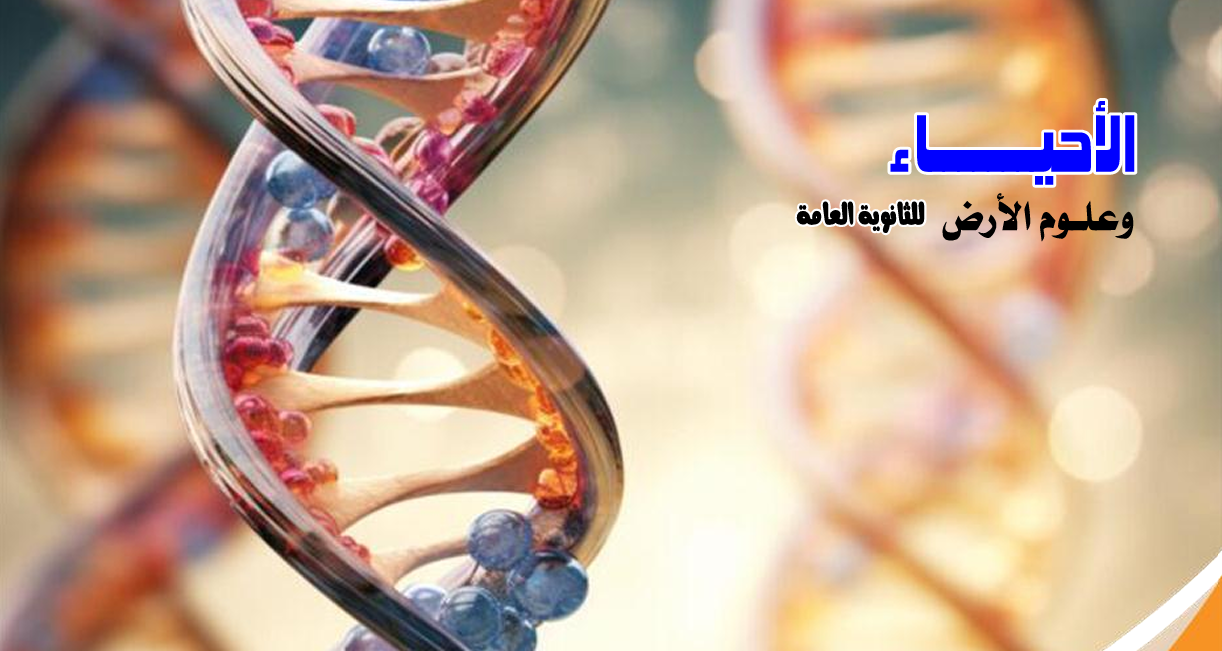 كورس رمضان  ( لطلاب السنتر )