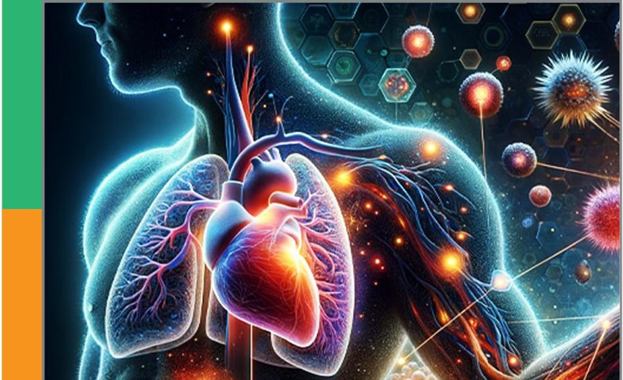 الحصة الاولي الفصل الرابع (المناعة) الغائبين من السنتر