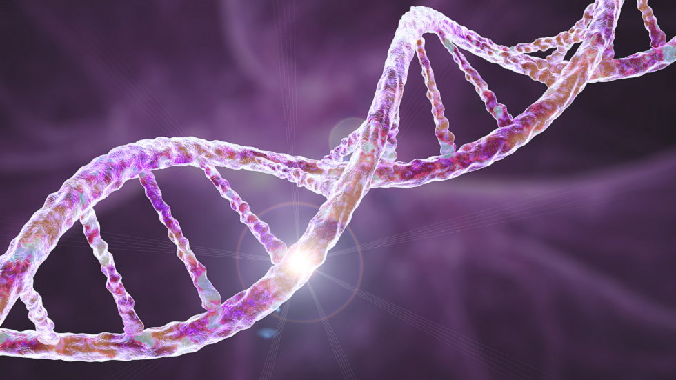 حصة مراجعة DNA الغائبين من السنتر