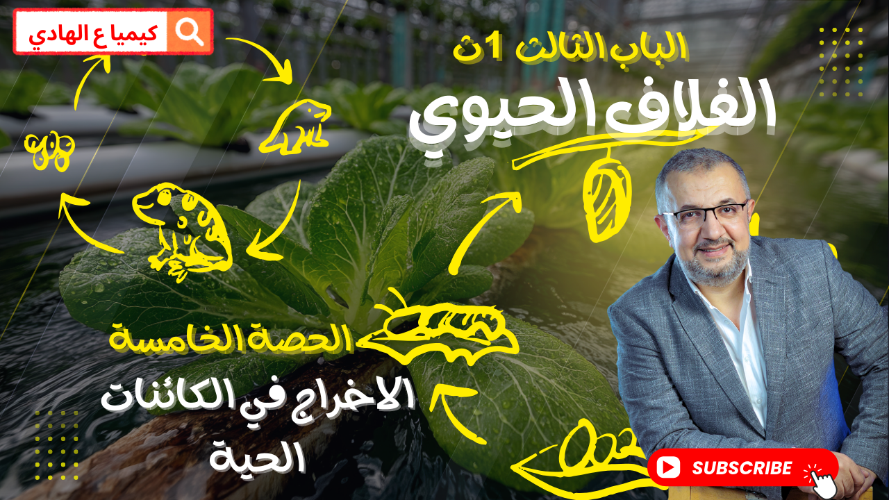 الحصة الخامسة العلوم المتكاملة ترم تاني