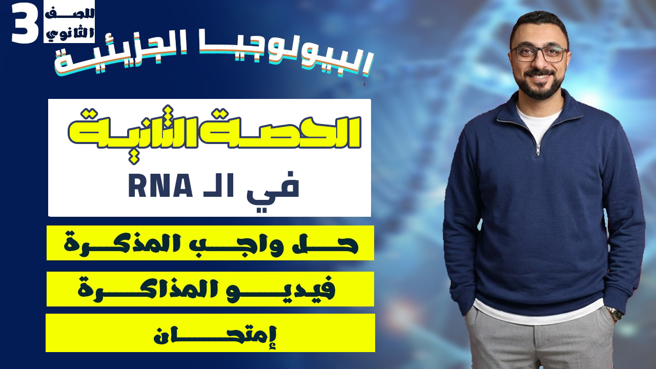 الحصة الثانية RNA