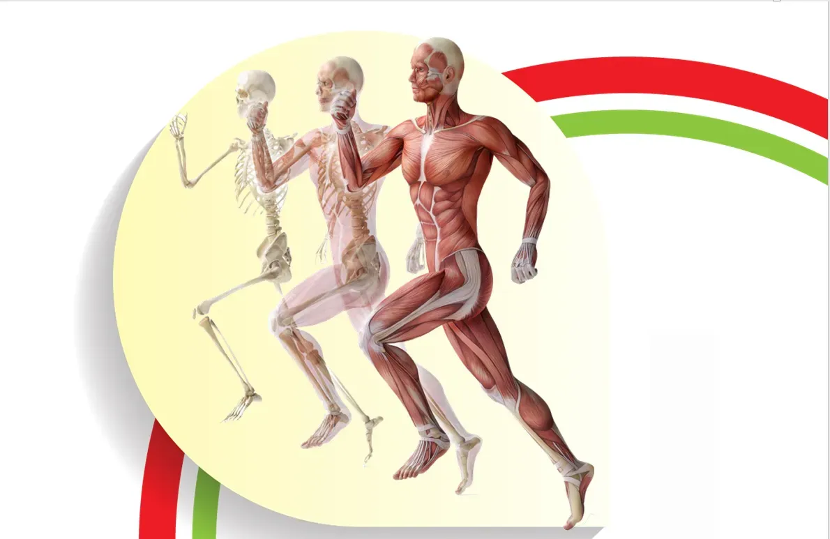 كورس الأونلاين ( أول اربع حصص + حل الواجب +حل الامتحان + فيديوا اهم ملاحظات الحصص ) 2027